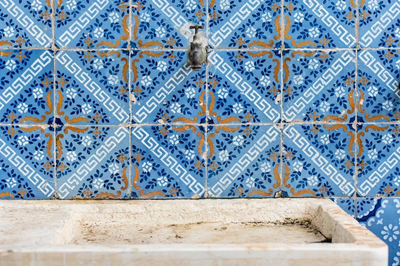 Casa vacanze Villa Conchiglia Valderice